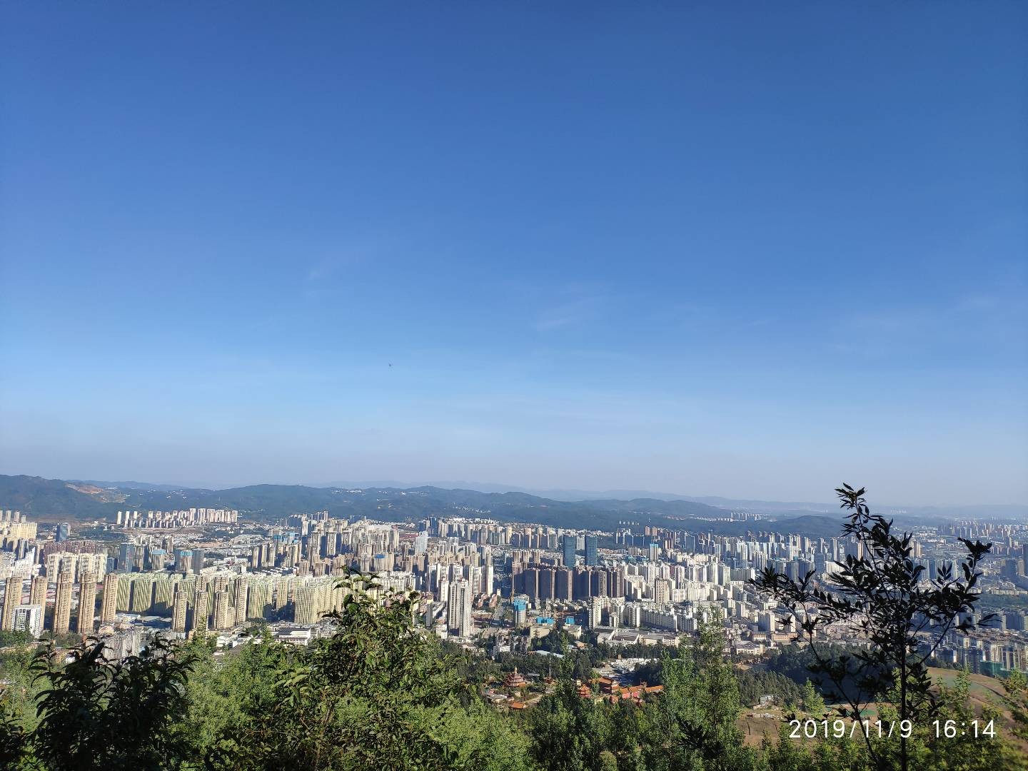 动态照片 1