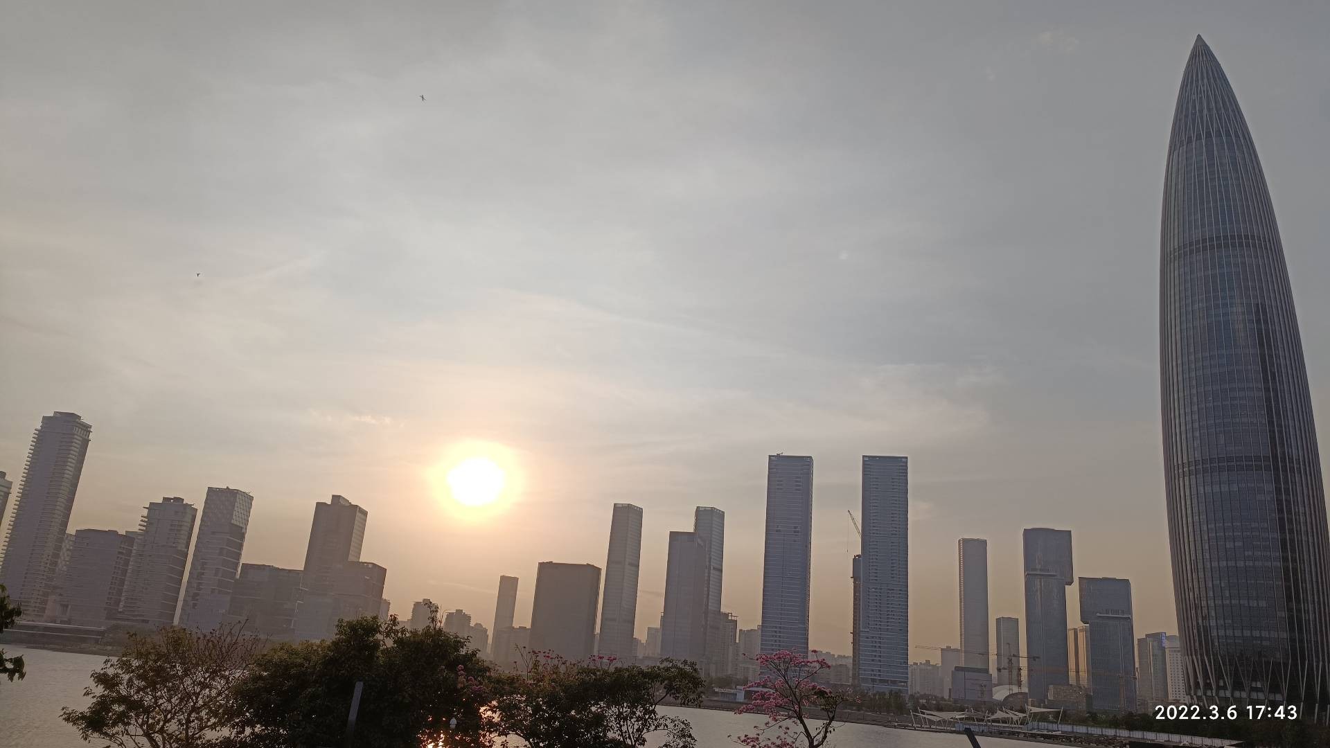 动态照片 2