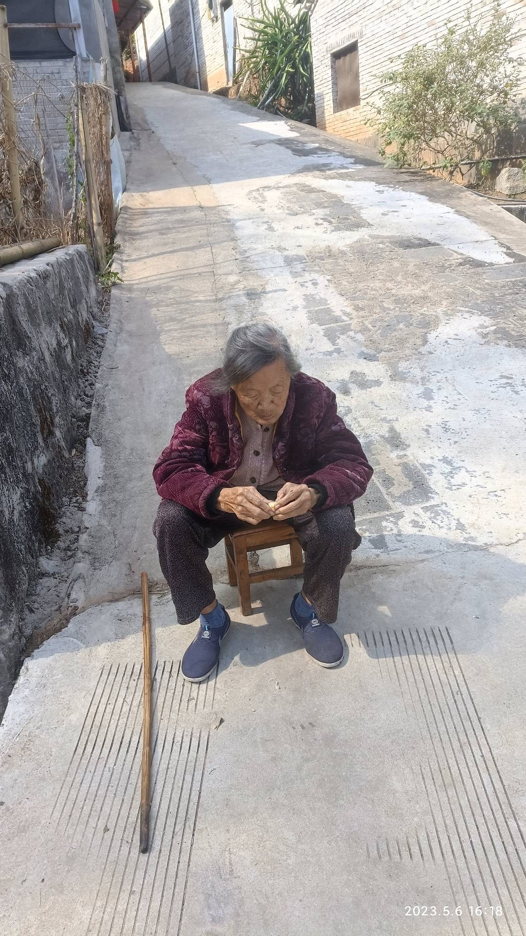 动态照片 2